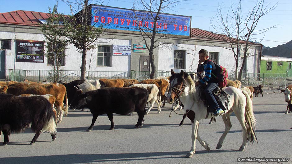 Улгий, улица Zaxiin Toiruu Zam