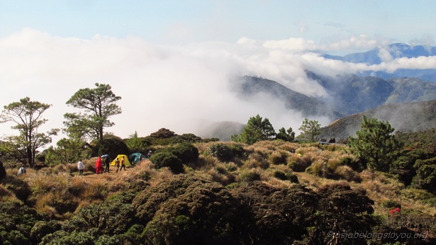 Camping Ground 2